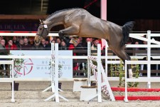 Airborne vd heffinck freejumping