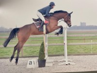 Sissi star 5y old